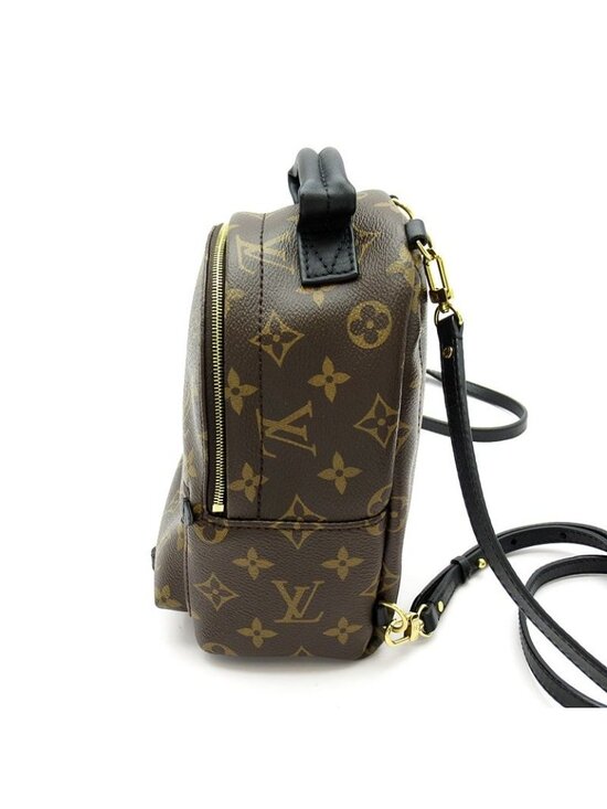 Louis Vuitton Palm Springs Backpack Mini Monogram main image 4